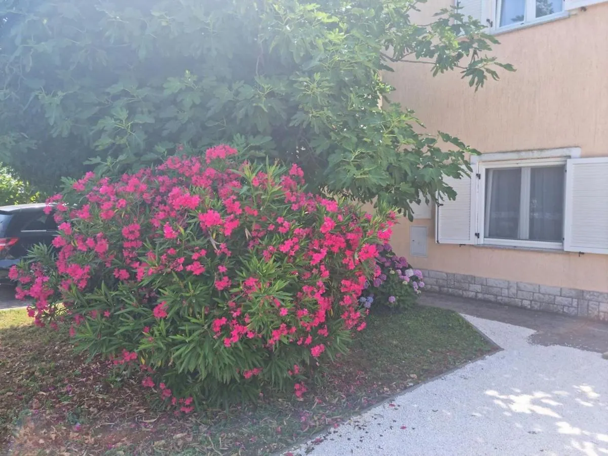 Apartments Lara Medulin 0*,  Croatia
